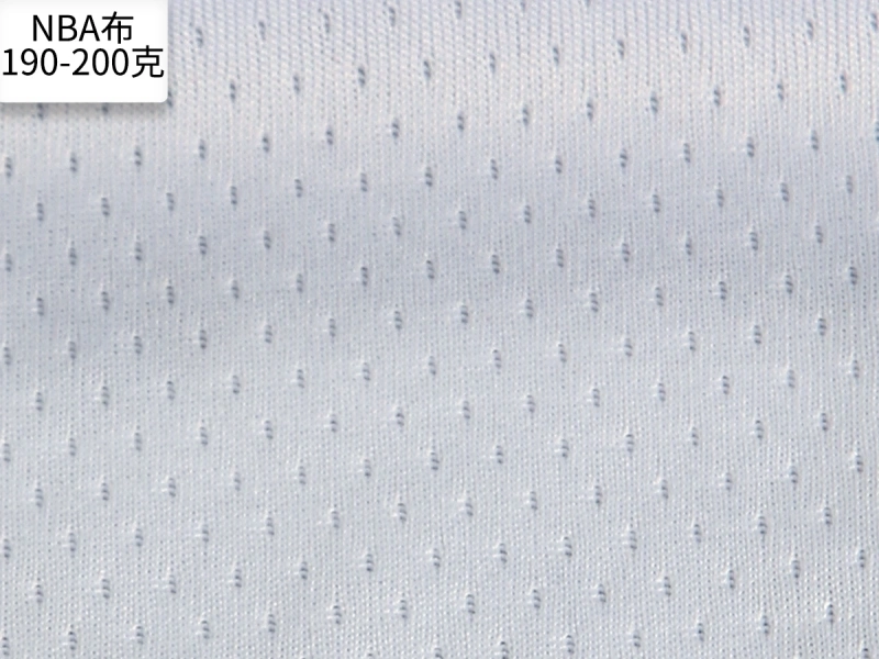 Regular Fabric Detail 1